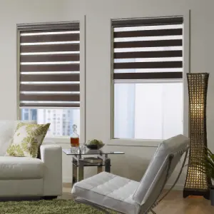Zebra/Dual Blinds - Premium Window Covering